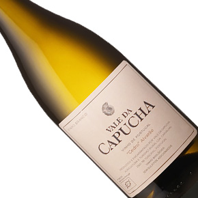 Vale da Capucha-Cedro Alvarão Branco