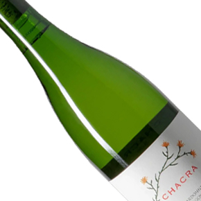 Bodega Chacra-Chardonnay