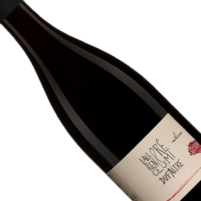 Laurence et Rémi Dufaitre-Brouilly