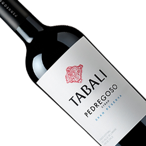 Vina Tabali-Pedregoso Gran Reserva Syrah