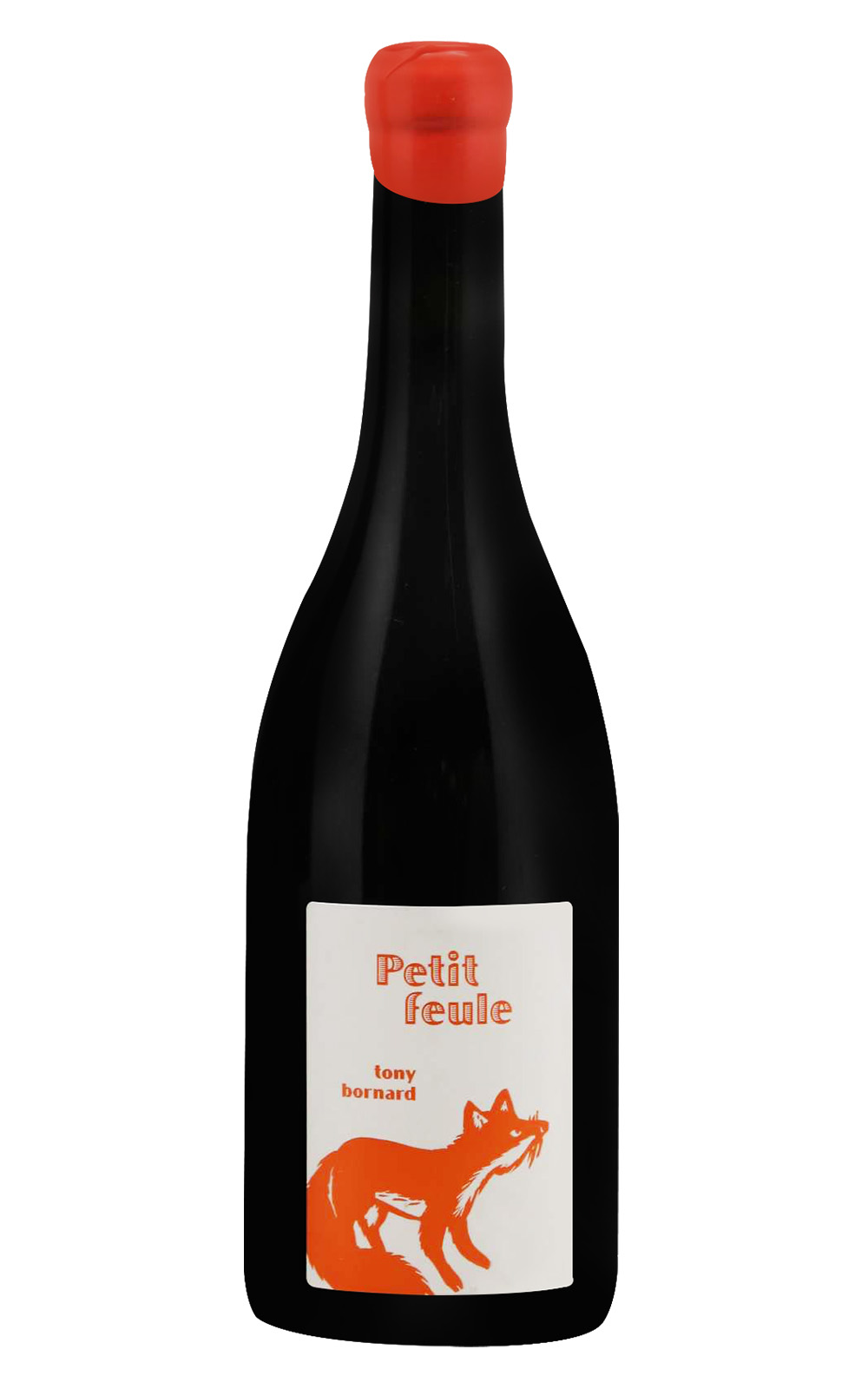 Domaine Philippe Bornard Arbois Pupillin Petit Feule Pinot Noir 2018 小狐狸酒莊 小葉片 黑皮諾紅酒