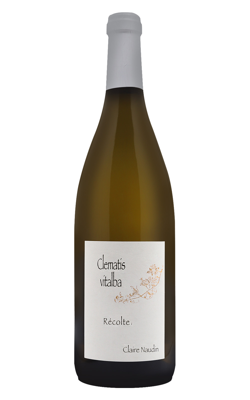 Domaine Henri Naudin Ferrand Claire Naudin Bourgogne Hautes Cotes de Nuit Clematis Blanc 2019 亨利 諾丹緋紅酒莊 克萊爾 諾丹 布根地 上夜丘 鐵線蓮 白酒