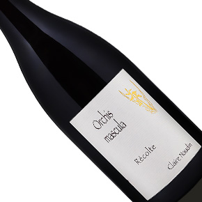 Domaine Henri Naudin-Ferrand (Claire Naudin)-Bourgogne Hautes-Côtes de Beaune "Orchis Mascula" Rouge