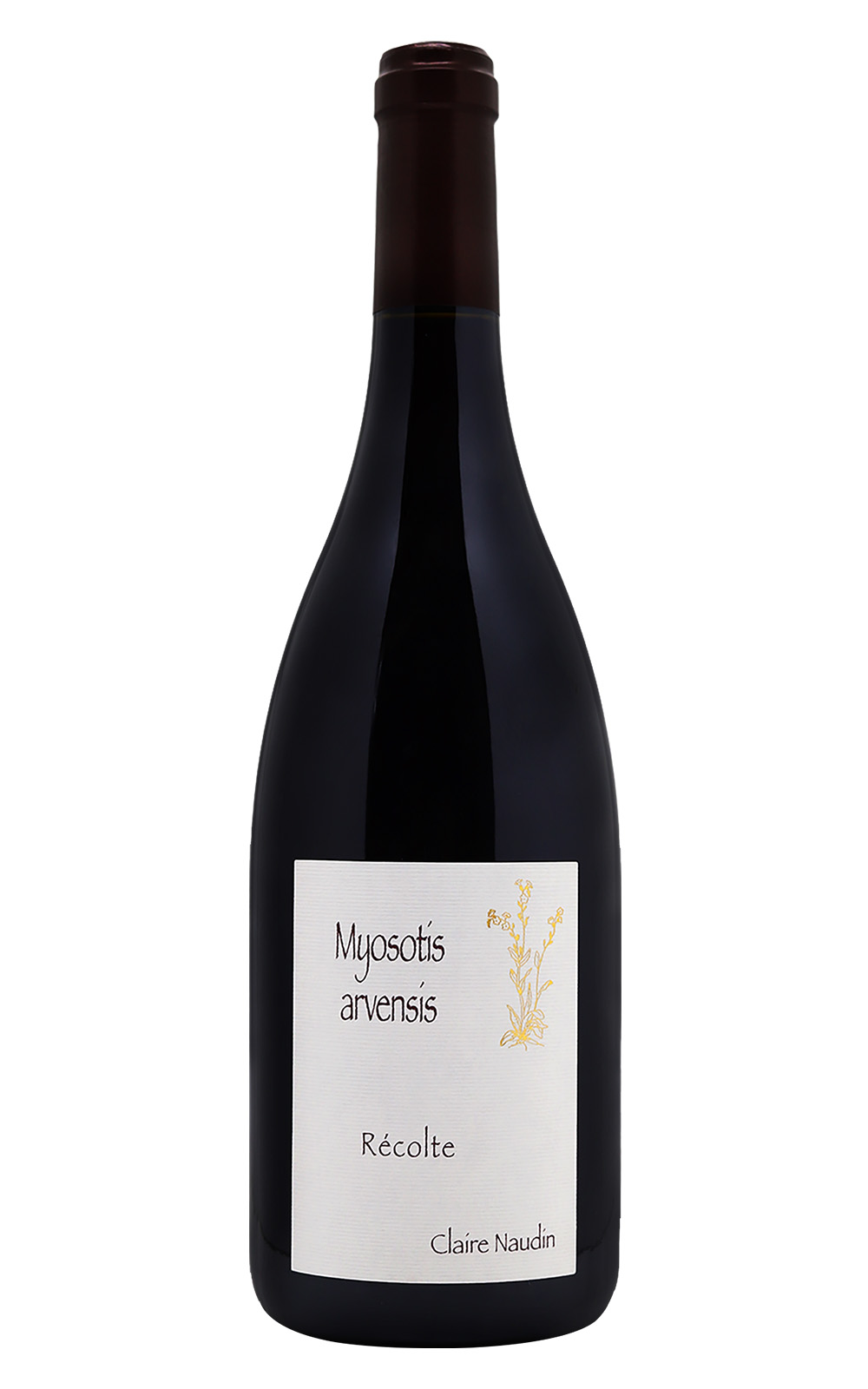 Domaine Henri Naudin Ferrand Claire Naudin Bourgogne Hautes Cotes de Nuits Myosotis Arvensis Rouge 2021 亨利 諾丹緋紅酒莊 克萊爾 諾丹 布根地 上夜丘 鼠尾草 紅酒