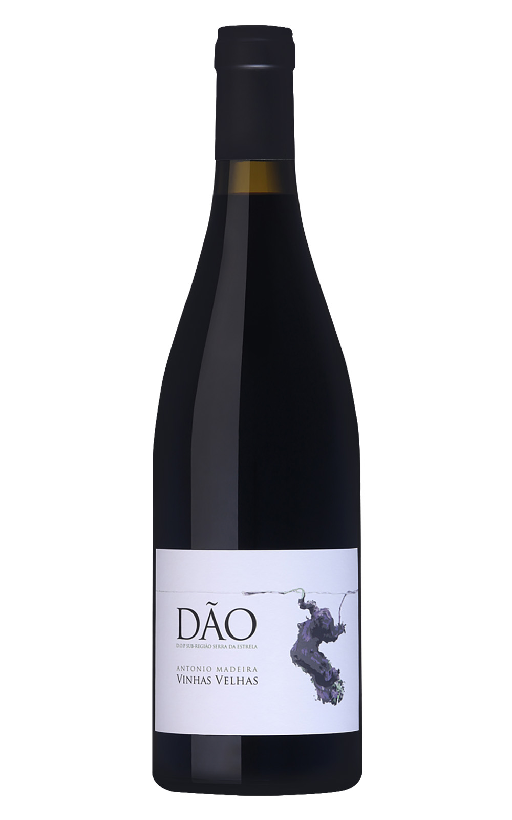 Antonio Madeira Dao Vinha Velhas Tinto 2019 安東尼奧 馬德拉酒莊 道 老藤混釀紅酒
