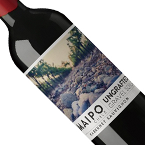 De Martino-Ungtafted Cabernet Sauvignon