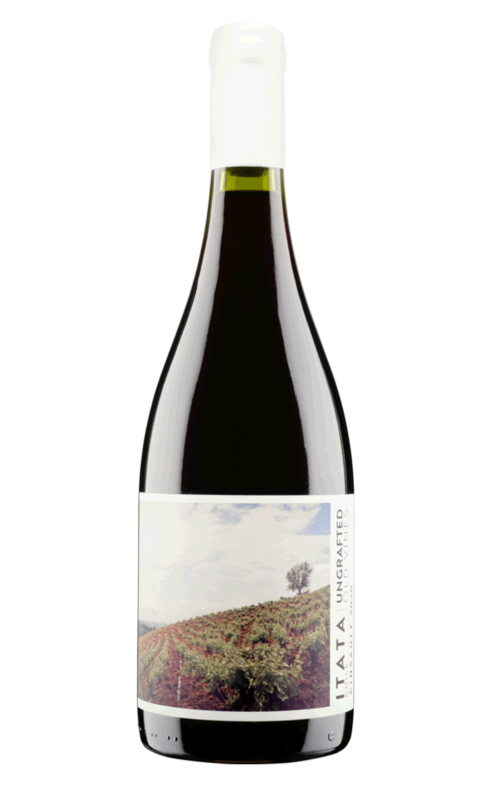 De Martino Ungtafted Old Vines Cinsault 2022 迪馬提諾酒莊 未嫁接系列 老藤仙梭紅酒