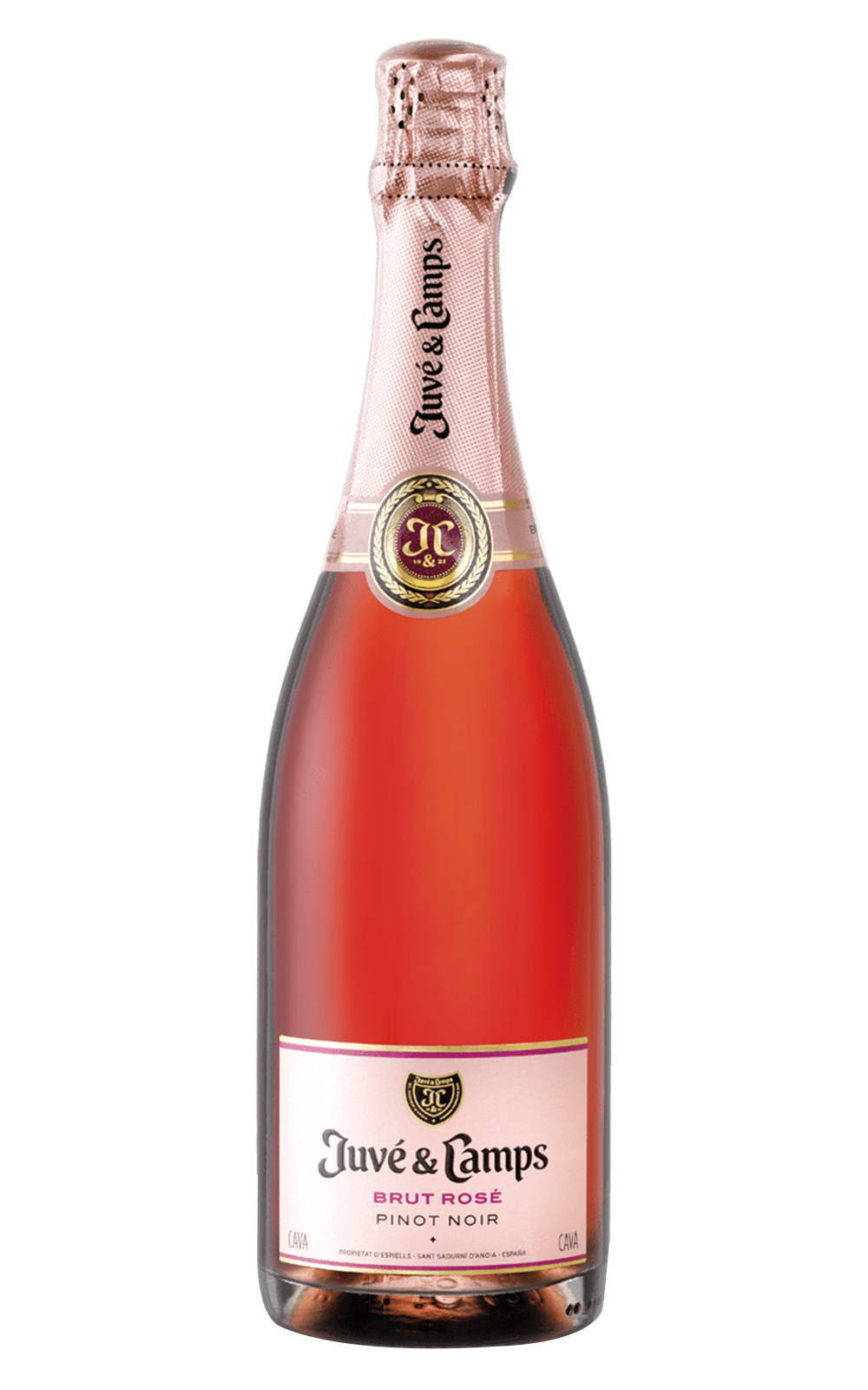 Juve Camps Cava Brut Rose Pinot Noir NV 簡菲崗酒莊 黑皮諾不甜粉紅氣泡酒