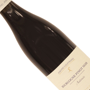 Domaine Jérôme Galeyrand-Bourgogne "Antonin" Pinot Noir