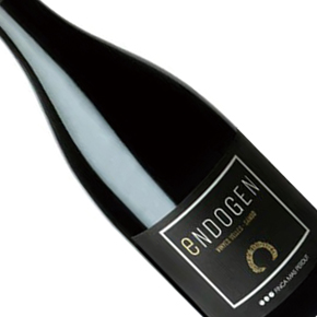 Finca Mas Perdut-Endogen Samsó Tinto