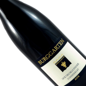 Weingut Burggarten-"Schieferlay" Spätburgunder GG