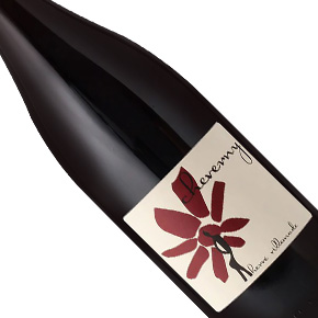 Hervé Villemade-Cheverny Rouge