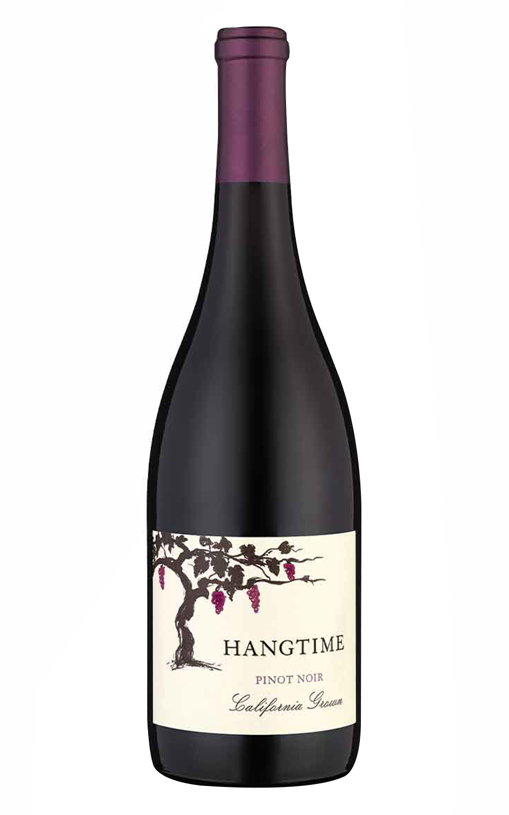 Michael Mondavi Family Estate Hangtime Pinot Noir 2022 麥克爾 蒙戴維家族酒莊 美好時光 黑皮諾紅酒