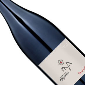 Weingut Martin & Anna Arndorfer-Vereinter Schatz Rot