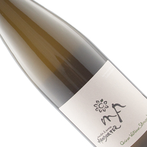 Weingut Martin & Anna Arndorfer-Grüner Veltliner Strasser Weinberge