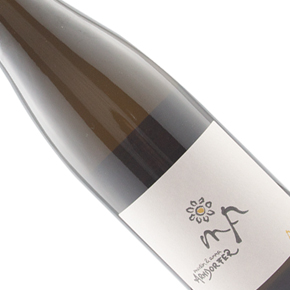 Weingut Martin & Anna Arndorfer-Ausblick