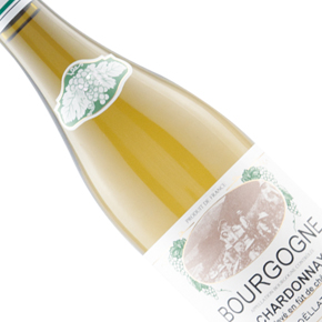 Maison Charles Noëllat-Bourgogne Chardonnay