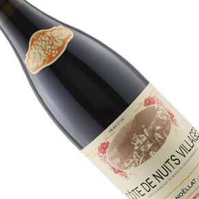 Maison Charles Noëllat-Côte de Nuits-Villages Rouge