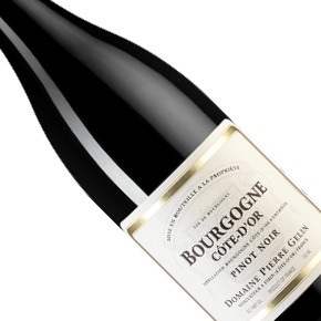 Domaine Pierre Gélin-Bourgogne Côte d'Or Pinot Noir