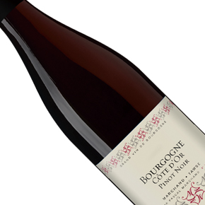 Maison Marchand-Tawse-Bourgogne Côte d'Or Pinot Noir