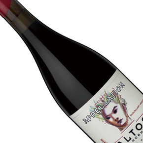 Altos Las Hormigas-Uco Valley "Gualtallary" Appellation Malbec