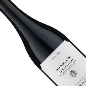 Foradori-"Sgarzon" Teroldego