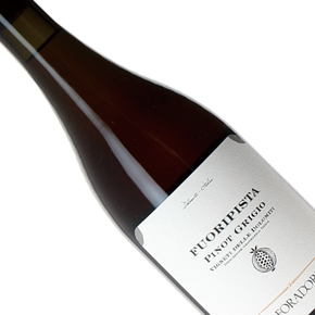 Foradori-"Fuoripista" Pinot Grigio