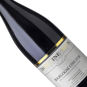 Domaine Jean-Charles Rion-Bourgogne Côte d'Or Rouge