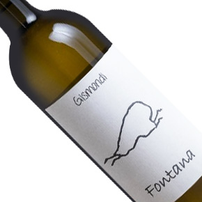Antonio Gismondi-"Fontana" Falanghina Beneventano