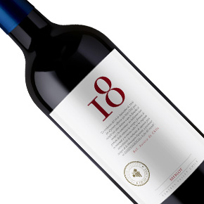Viña De Aguirre-18 Merlot