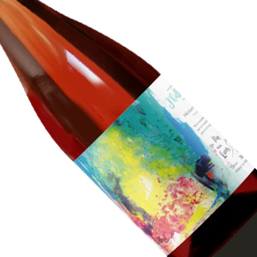 Du Vin aux Liens-"J' hallucine" Pétillant Naturel
