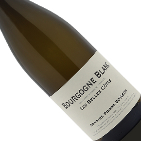 Domaine Pierre Boisson-Bourgogne "Les Belles Côtes" Blanc