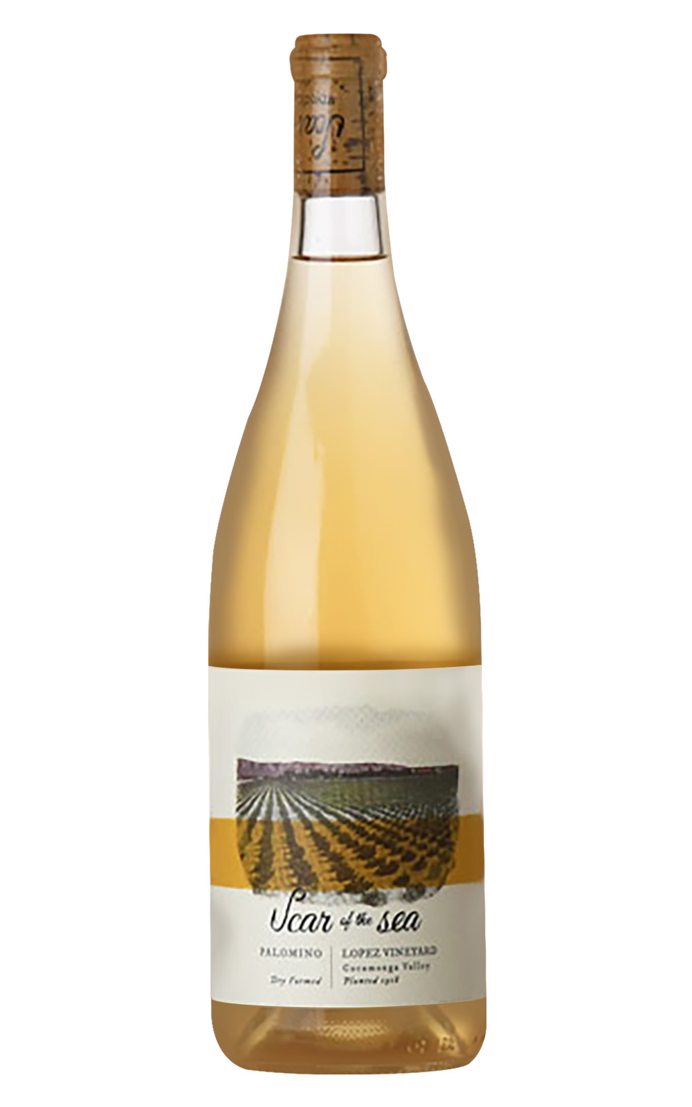 Scar of the Sea Old Vine Palomino 2022 海的傷疤酒莊 老藤 巴婁米諾白酒