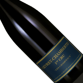Jean-Luc & Eric Burguet-Gevrey-Chambertin 1er Cru "Les Champeaux"