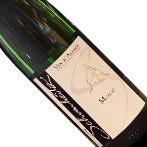 Schoenheitz-Muscat