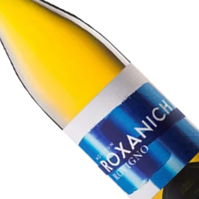Roxanich-First Roses "Rovigno"