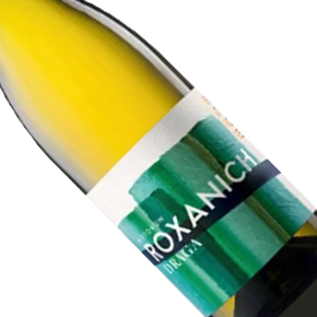 Roxanich-First Roses "Draga"