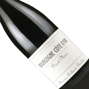 Domaine Maxime Dubuet-Boillot-Bourgogne Côte d'Or Pinot Noir