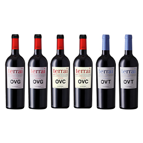 Bodegas Covinca-Terrai 6 Bottle Set (750ml*6)