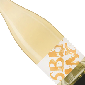 Gilbert Family Wines-Skin Contact Sauvignon Blanc