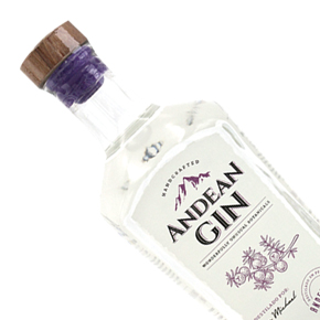 Don Michael Andean Distillery-Andean Gin
