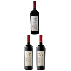 Alta Vista-Alta Vista Single Vineyard 3-Bottle-Set（750ml*3）