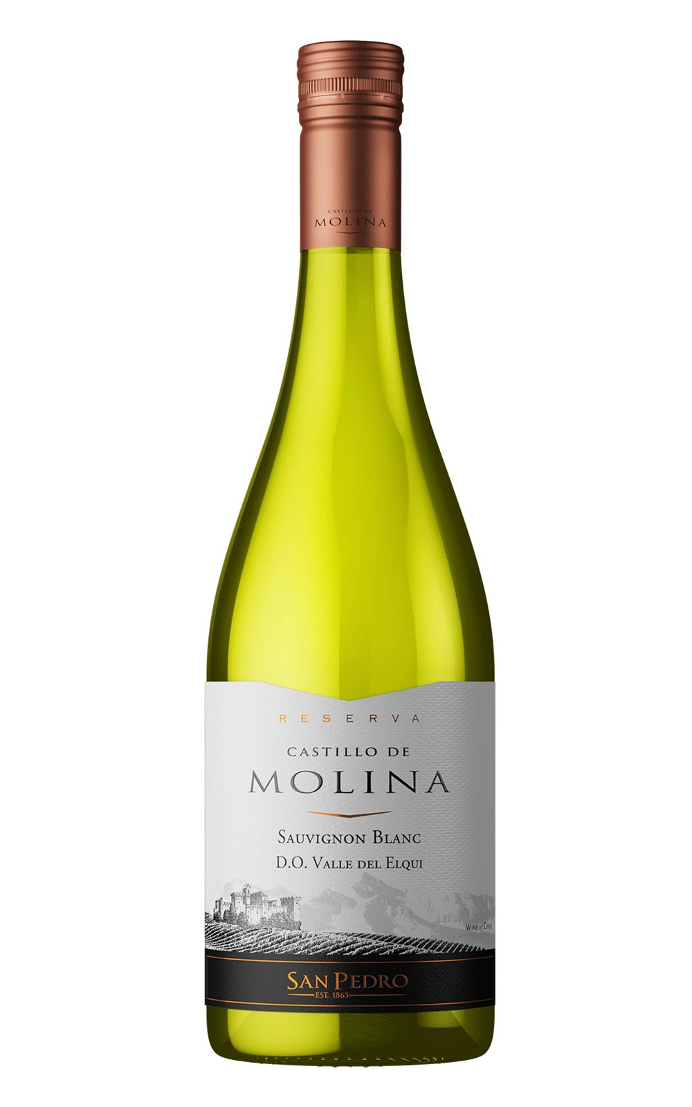 Vina San Pedro Castillo de Molina Reserva Sauvignon Blanc 2022 聖派德羅酒廠 慕利那精選 白蘇維濃白酒