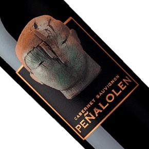 Domus Aurea-Peñalolen Cabernet Sauvignon