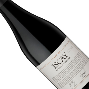 Trapiche-Iscay Syrah & Viognier