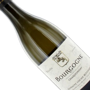 Domaine Fabien Coche-Bourgogne Chardonnay
