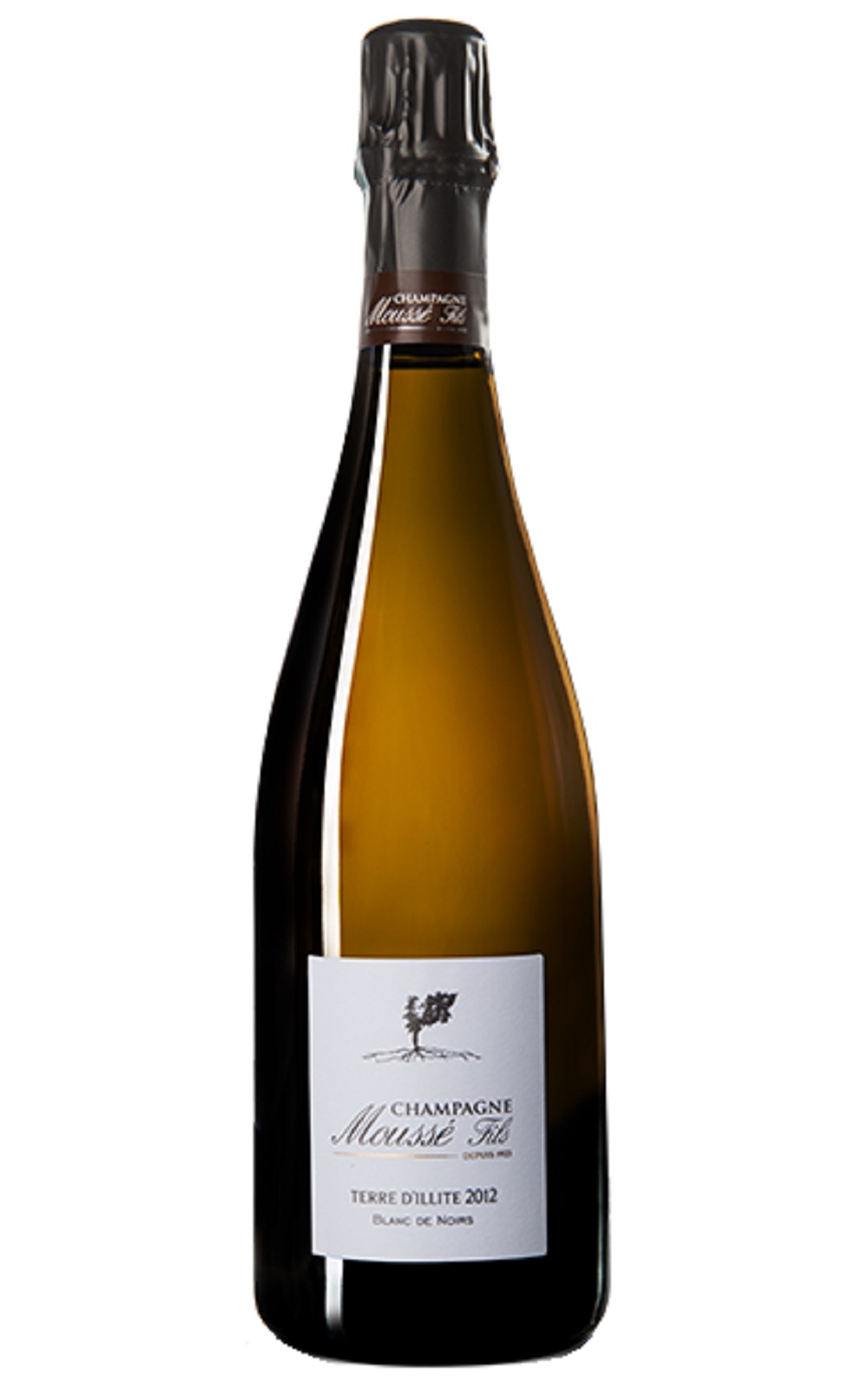 Champagne Mousse Fils Terre d Illite Blanc de Noirs Extra Brut Millésime 2012 木榭香檳 水雲母之地 黑中白年份不甜香檳