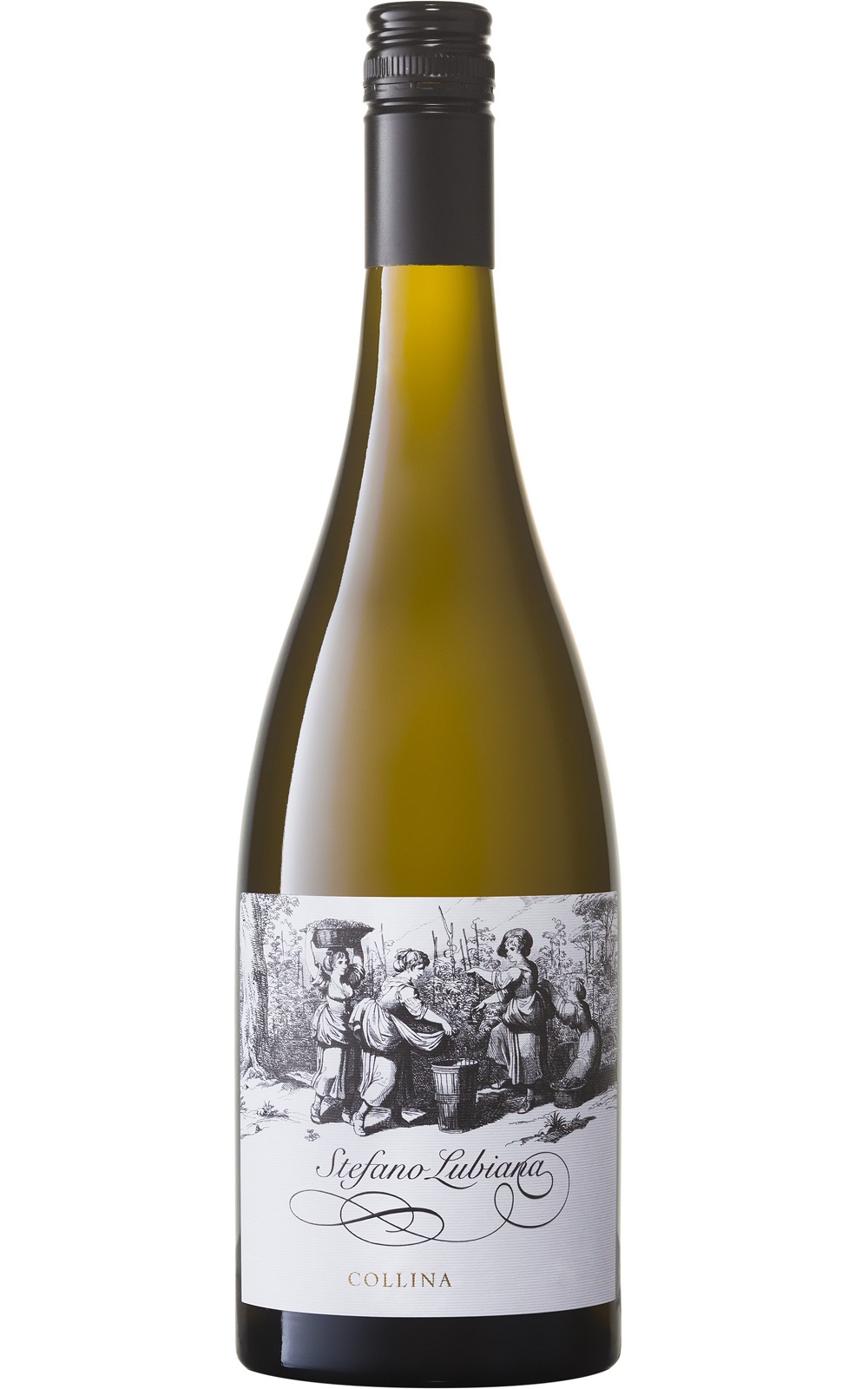 Stefano Lubiana Wines Collina Barrel Selection Chardonnay 2013 史蒂凡諾•盧比安納酒莊 柯琳娜 精選木桶夏多內白酒