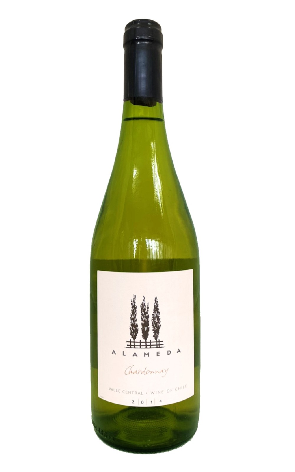 Alameda Chardonnay 2014 艾拉美黛 夏多內白酒