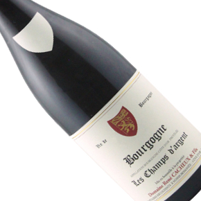 Domaine René Cacheux et Fils-（損標品）Bourgogne "Les Champs d'Argent" Rouge